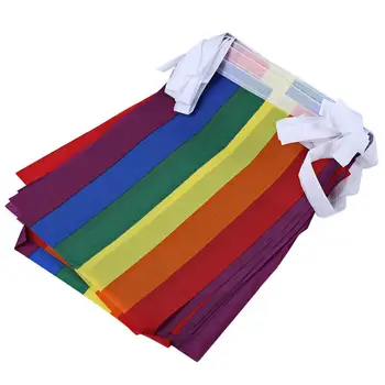 5m 20pcs Bandeira do arco-íris Cadeias Colorido arco-íris de Paz Bandeiras Bandeira do Orgulho LGBT LGBT Bandeira Lésbica, Gay, Direito Desfile de Suspensão Cia
