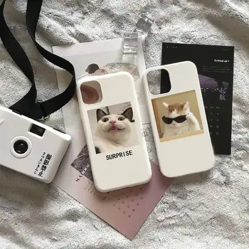 Engraçado gato bonito animal Caso de Telefone Candy Color para o iPhone 6 7 8 11 12 13 s mini pro X XR XS MAX Plus